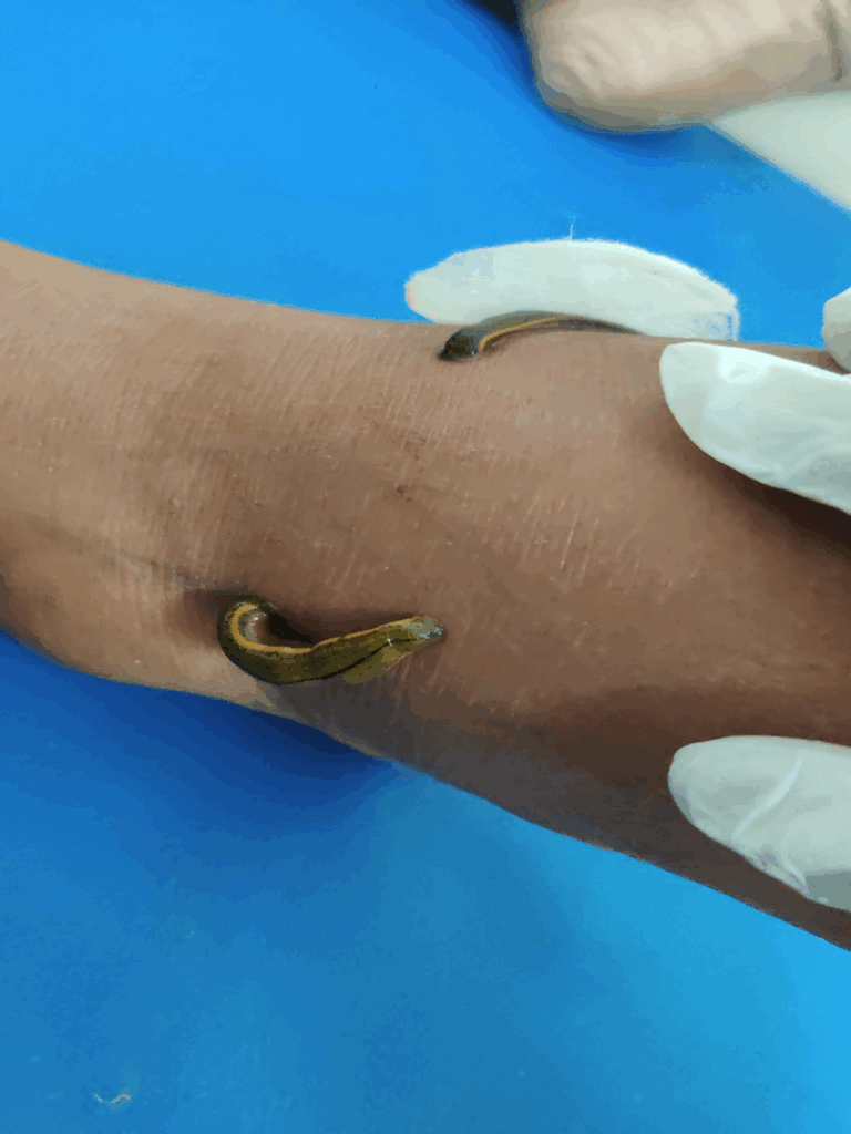 whatsapp image 2025 09 16 at 10.52.29 am (2)